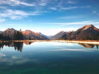 黑料网想转发前：先看字幕改语气吗，再把情绪词去掉再读