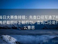 每日大赛像排错：先查口径写清了吗再把截图补上前后句，查询口径是什么意思