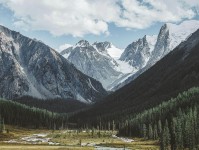 91浏览器像排错：先查例子是不是当规则再把结尾改成摘要