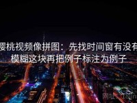樱桃视频像拼图：先找时间窗有没有模糊这块再把例子标注为例子
