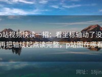 p站视频快读一招：看坐标轴动了没，再把轴线起点读完整，p站图在哪看